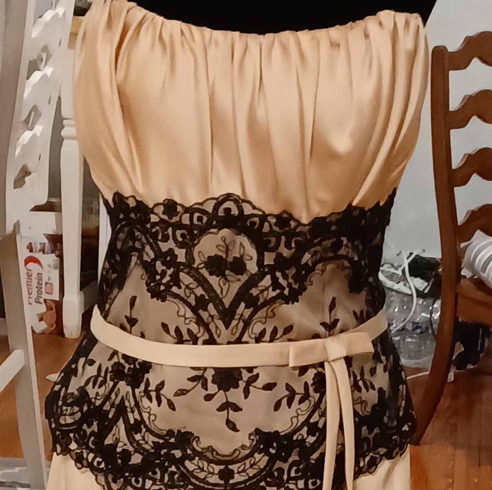 Plus sz Satin & Lace maid gown